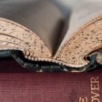 Foto del perfil de ADMIN ADMIN